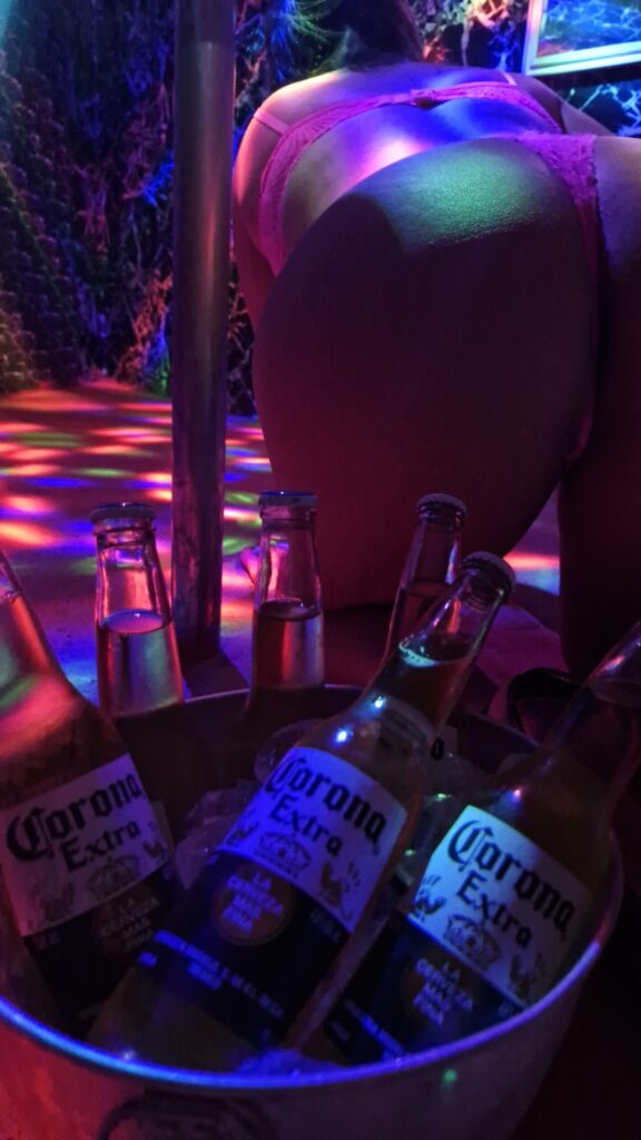 Acompanhante Palhoça